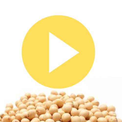 VIDEO: About ASA 
